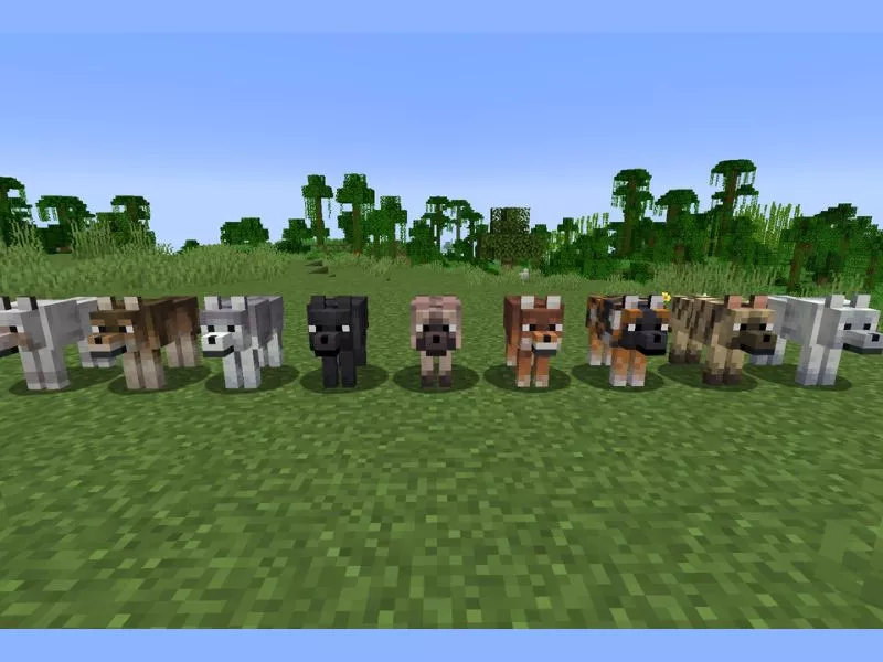 Đền rừng Minecraft - Xác định phòng bẫy và khu vực cần ưu tiên